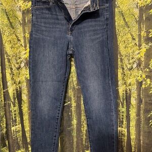 GAP Women's Blue Jeans Jeggings